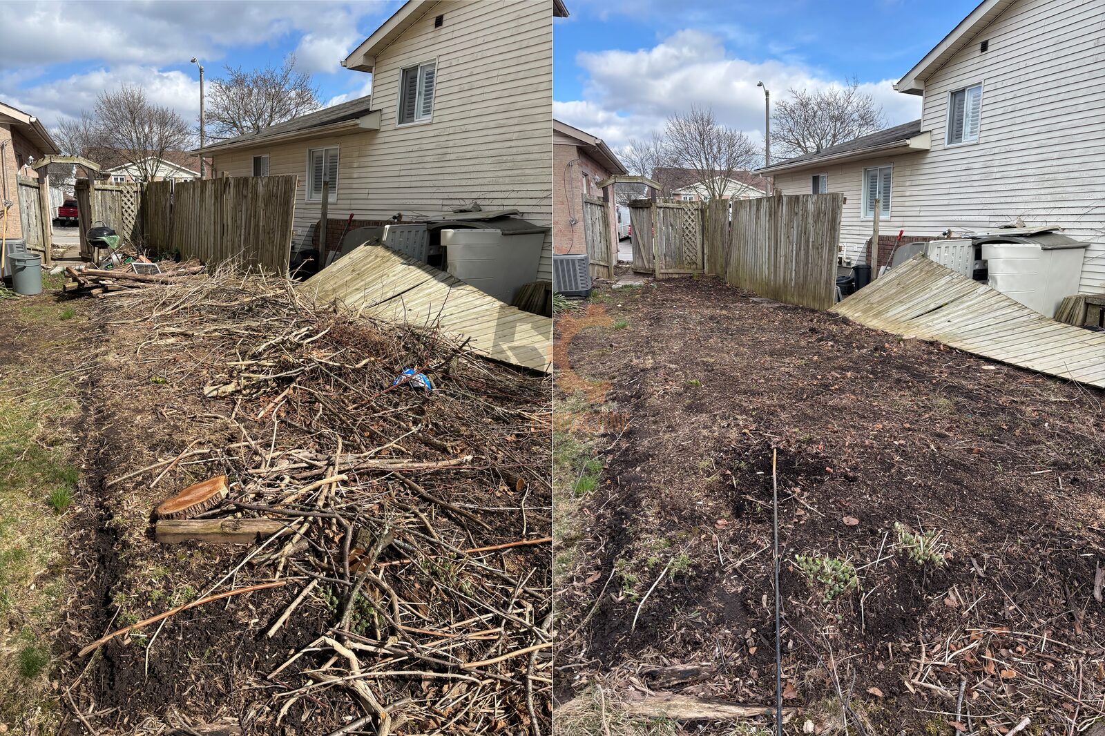 Before and after: a long brush and branch pile cleared from along a backyard fence