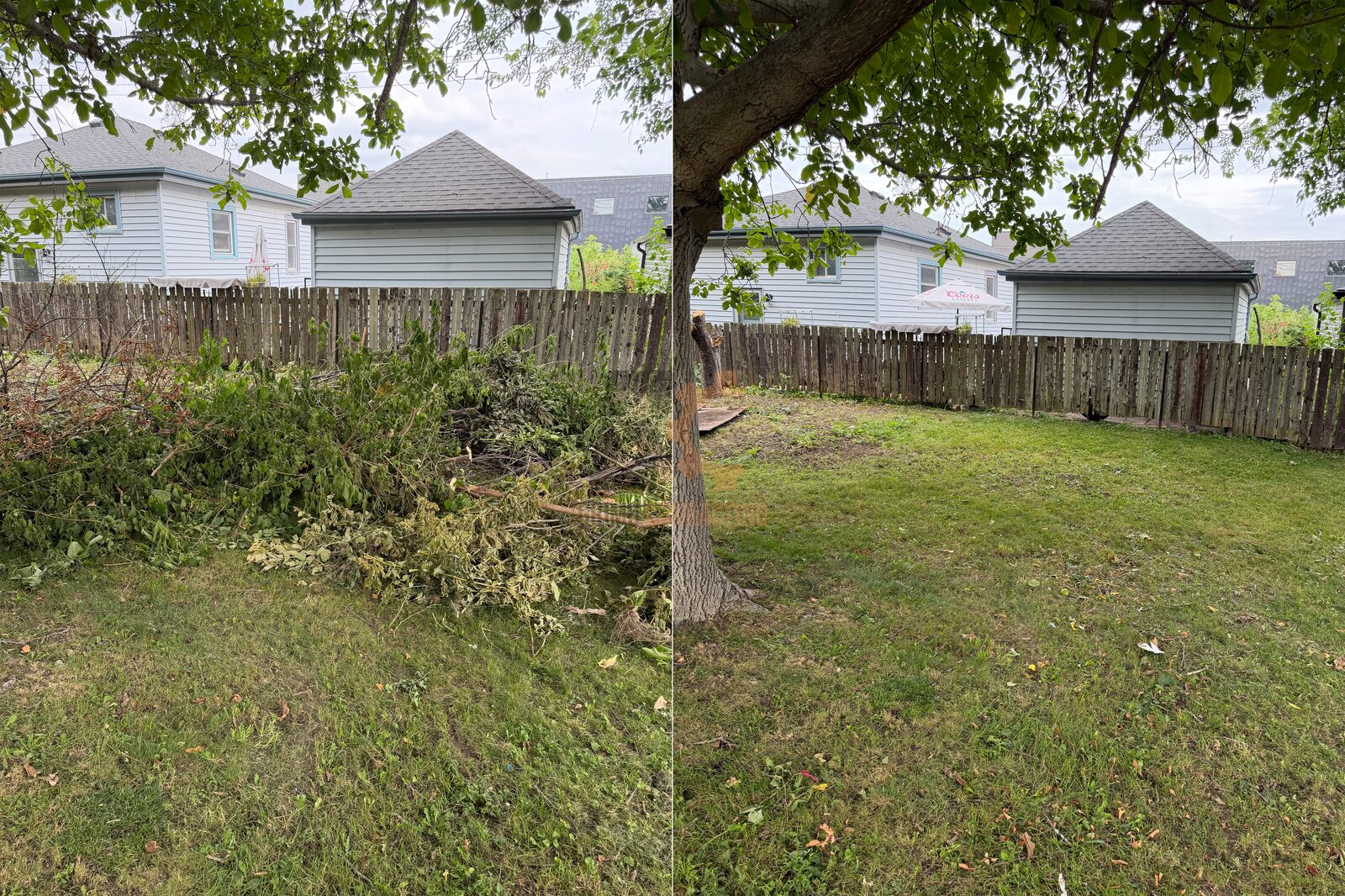 Before and after: a fallen tree and brush pile cleared from a backyard fence line by Grimo Contracting